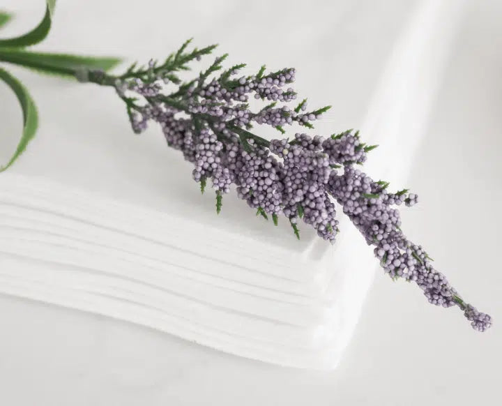 Por qué cada vez más salones eligen toallas desechables biodegradables